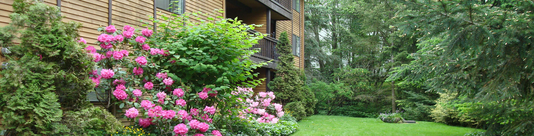 Forest Creek Apartments Meet The Managers