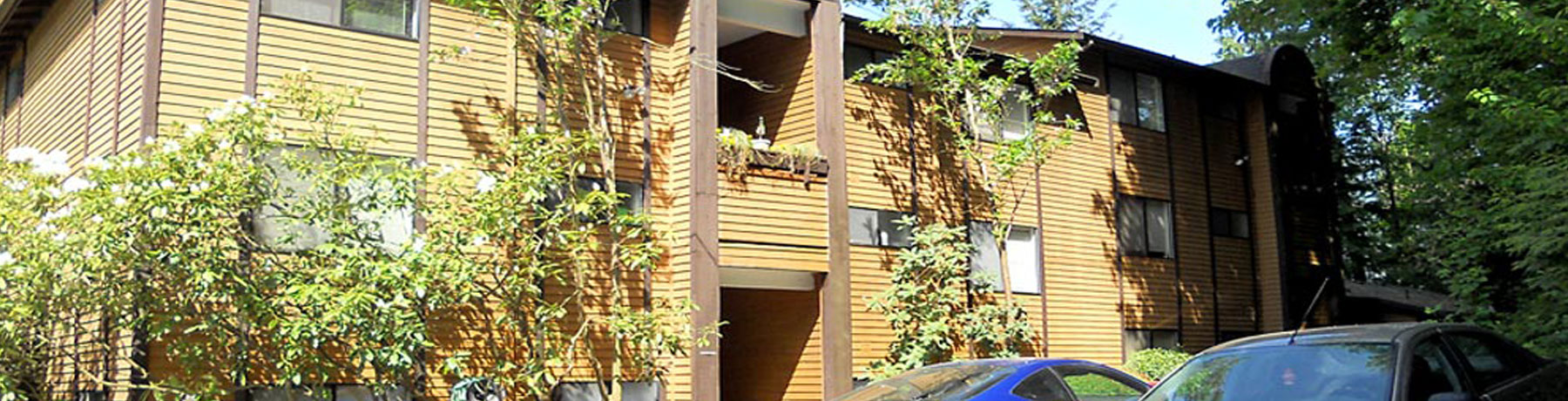 Forest Creek Apartments Testimonials